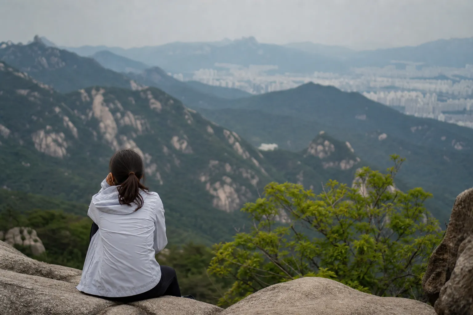 Day 3: Day trip: DMZ or Bukhansan, then a slow last evening
